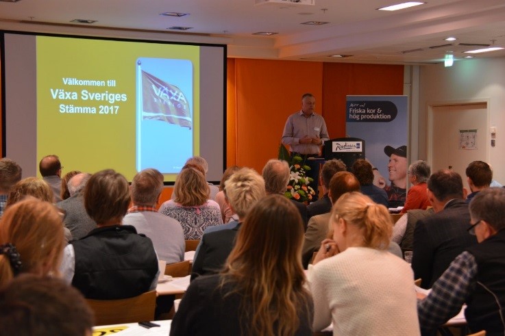 Stämma 2017