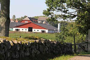 Strömsrums gård