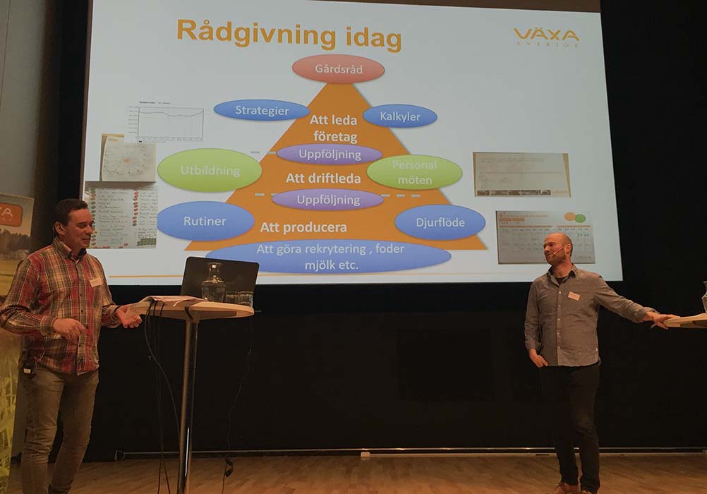 Genomgång på scenen om rådgivning idag