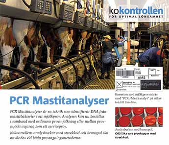 pcr-mastitanalys.jpg