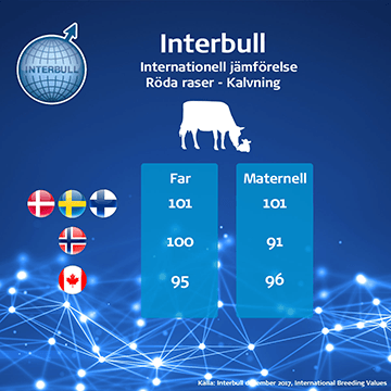 Interbull: Internationell jämförelse, Röda raser - Kalvning
