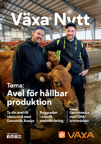 vaxa_nytt_mars_2026.png