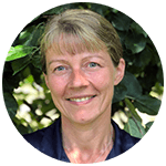 Malin Hidgård, Hållbarhetsansvarig