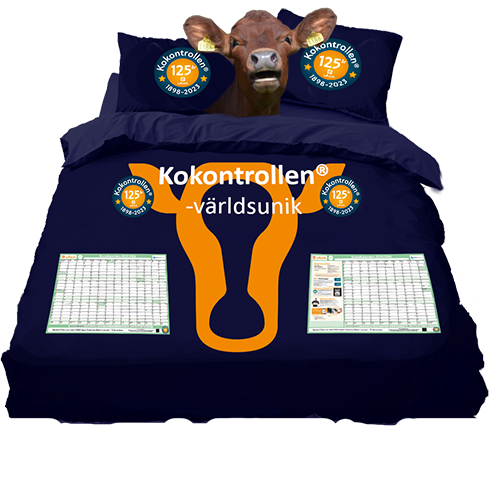 bedset.png