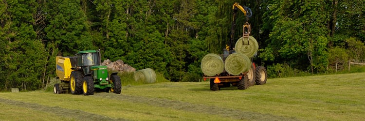 Vallskörd med traktor, försommar, fält