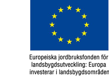 eu-flagga-finansierade-projekt.png
