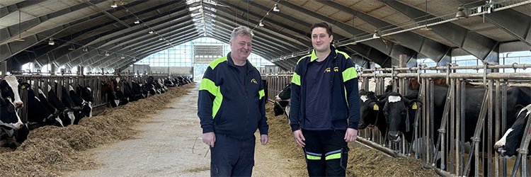 Robert Ansin med sonen Henrik har koll på korna med Växa Control®. Foto: Växa ladugård, stall, interiör, kor, holstein, två manspersoner