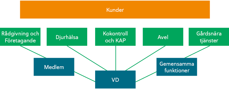 alt-text
