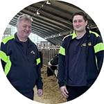två karlar i arbetskläder i lada, stall, kor, holstein