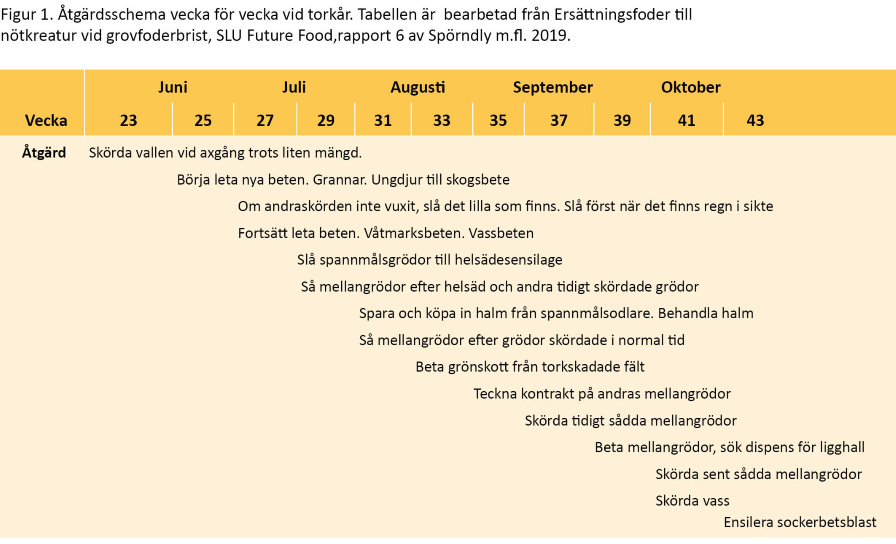atgardsplan1.png