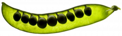 Bild1.png