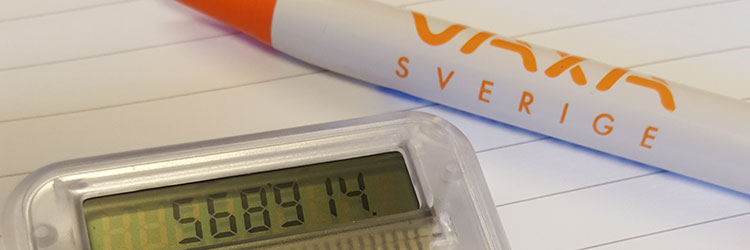 Oro över ekonomin?