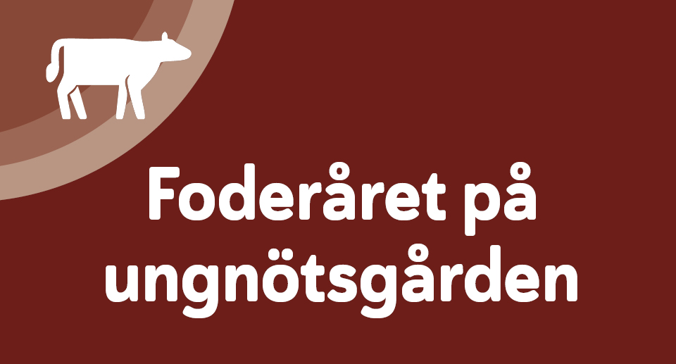 alt-text