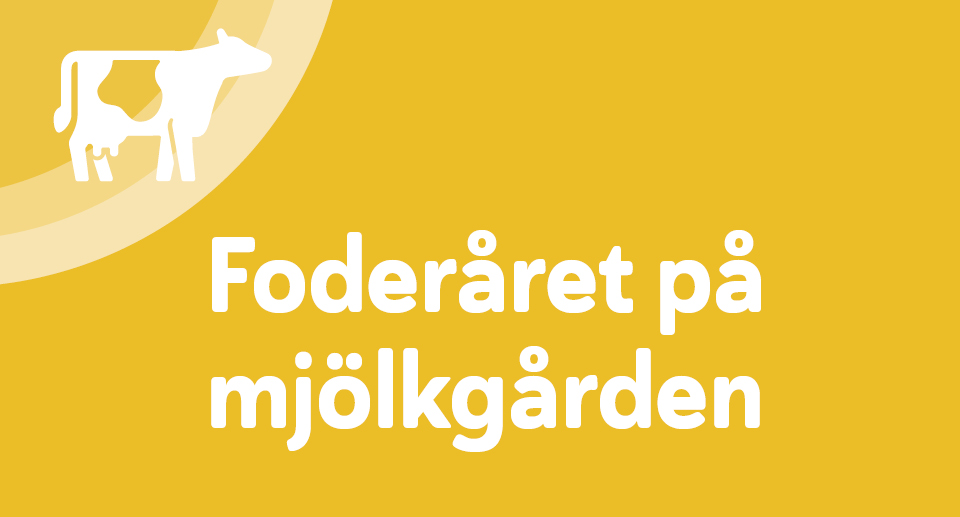 alt-text