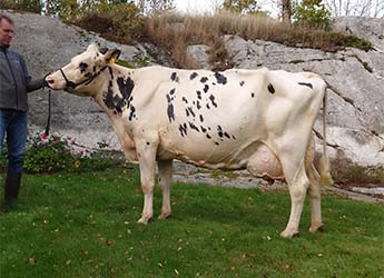 469-mindy.jpg