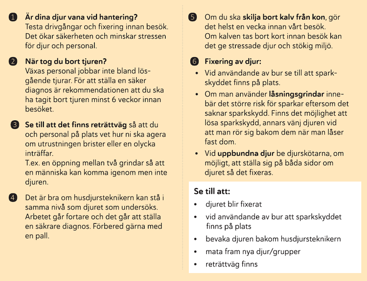 Bild på checklista för dräktighetsundersökning