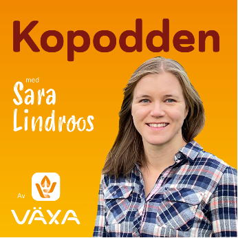 Kopodden_Sara_3000x3000_20211118 (002).png