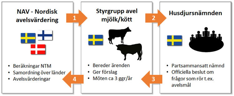 Steg genom den nodiska organisationen: Berakningar inom nav 