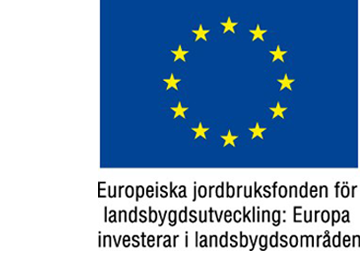 eu-flagga-finansierade-projekt.png