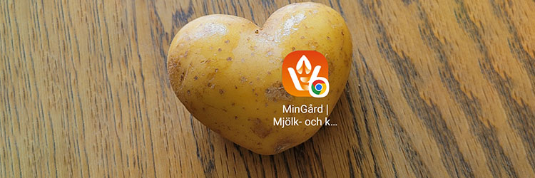 Bild på hjärtformad potatis på träbord och en appikon för verktyget MinGård