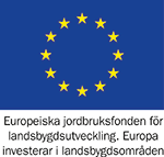 EU flagga med stjärnor på blå bakgrund